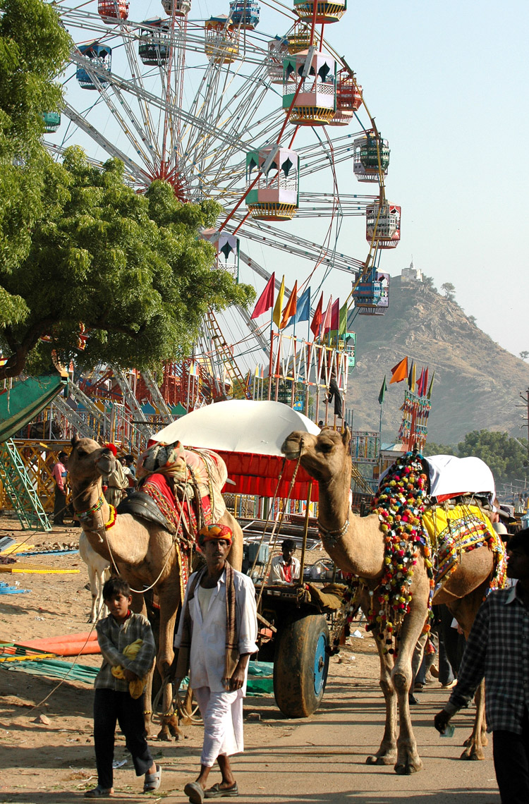 2006Pushkar-29