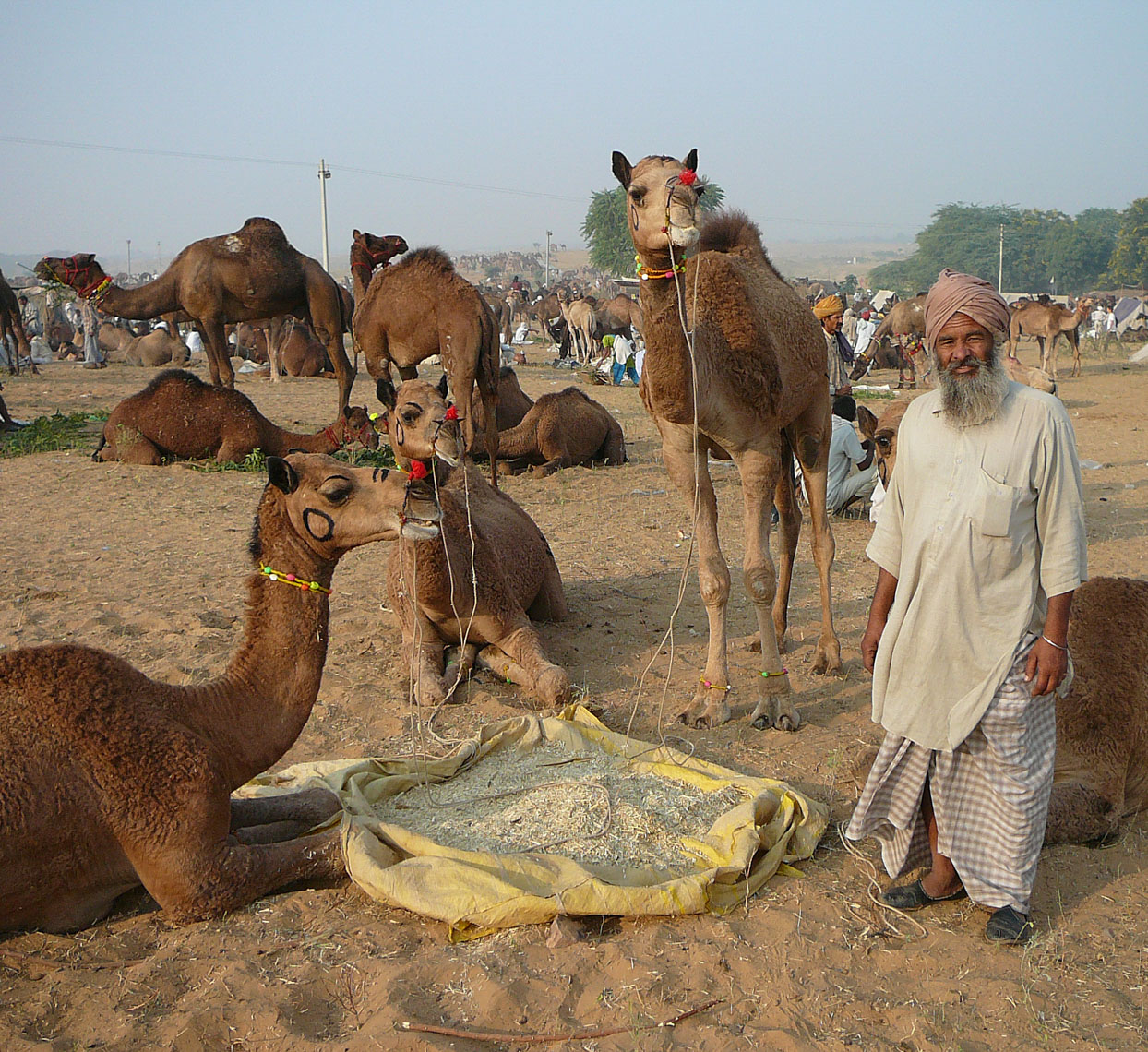 2006Pushkar-7