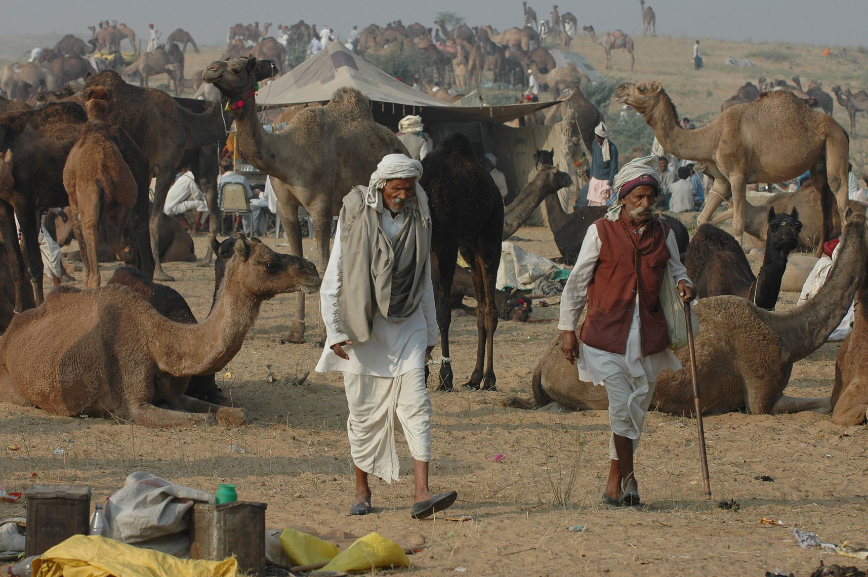 2006Pushkar-9